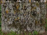 image of grave number 942